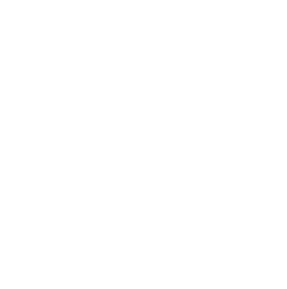 Dollar Icon