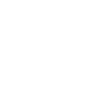 Security Shield